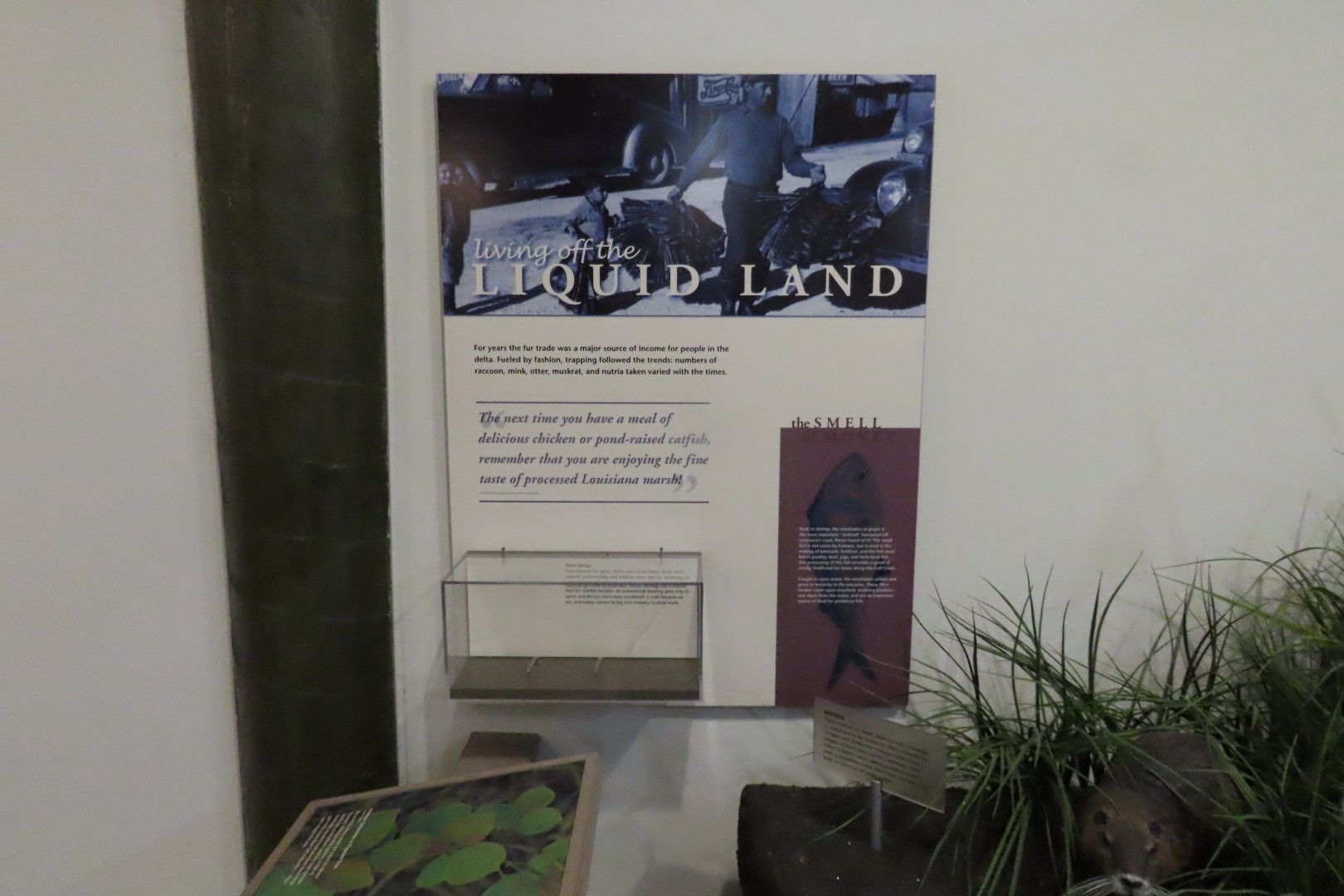 Jean Lafitte Natl Park 22 of 37 (#7500)