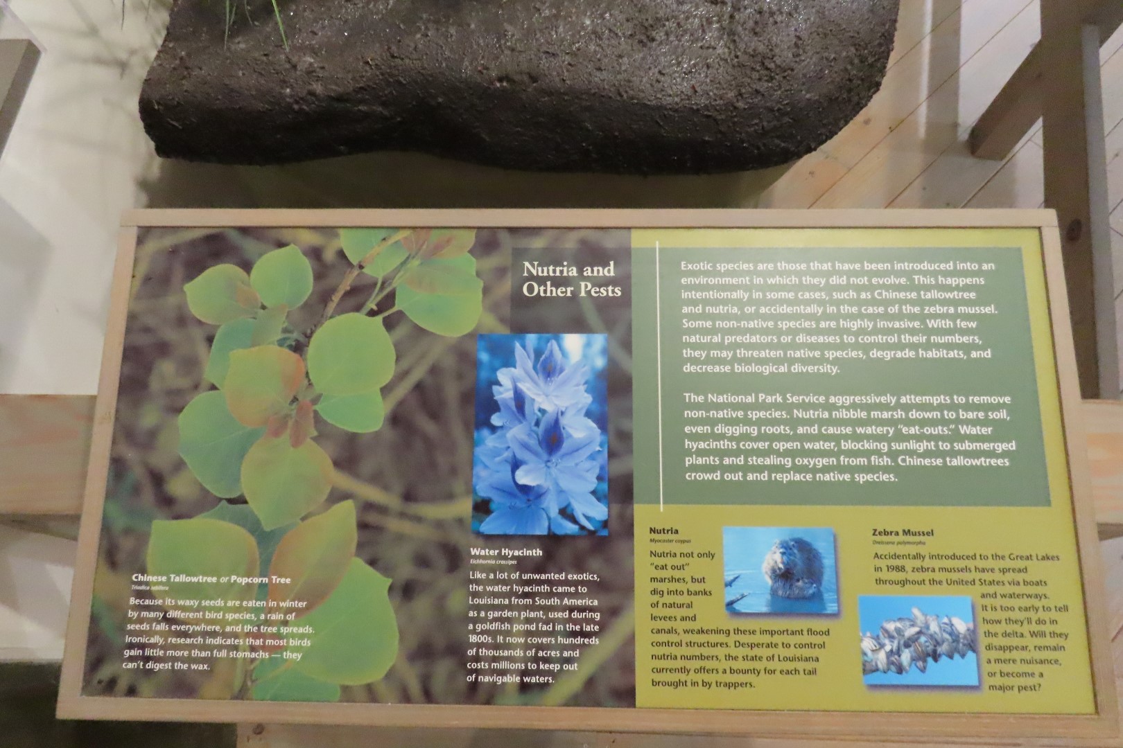 Jean Lafitte Natl Park 23 of 37 (#7501)