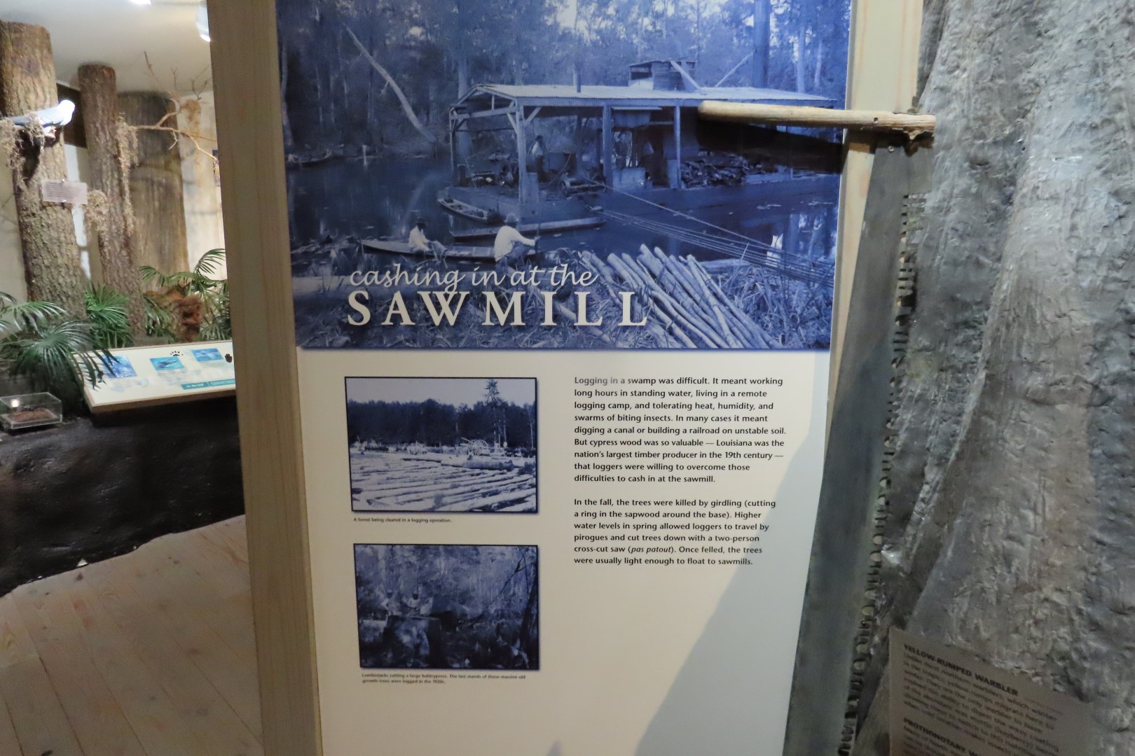 Jean Lafitte Natl Park 24 of 37 (#7502)