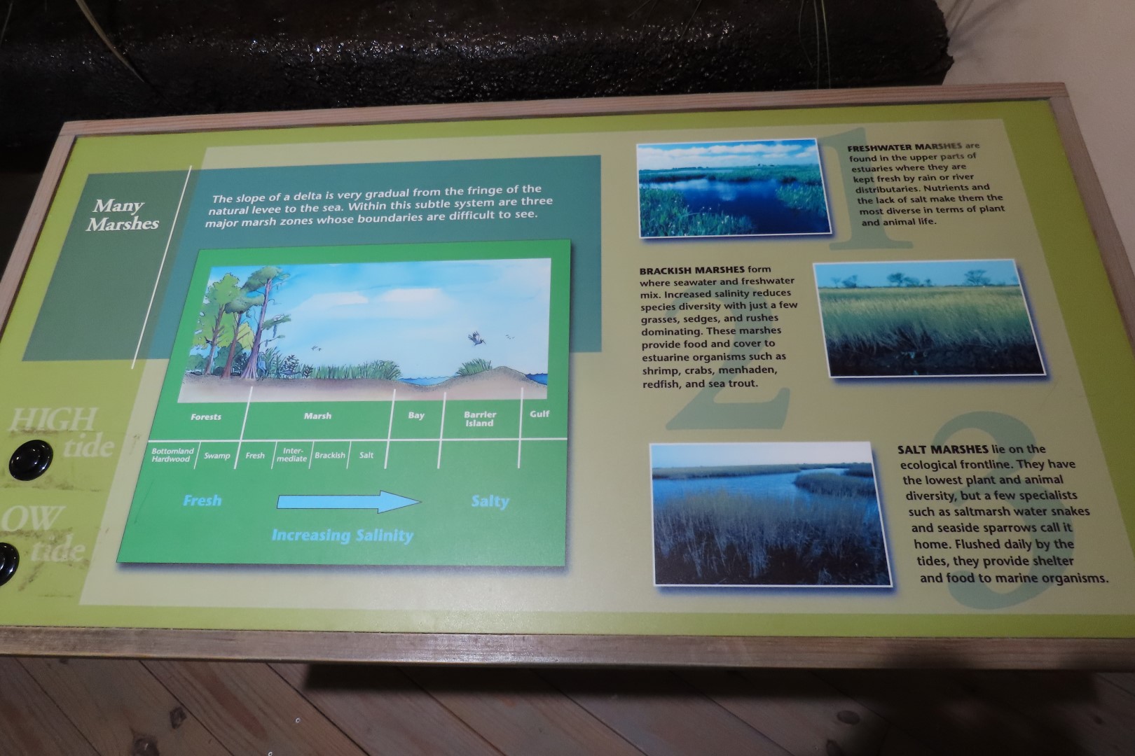 Jean Lafitte Natl Park 26 of 37 (#7504)