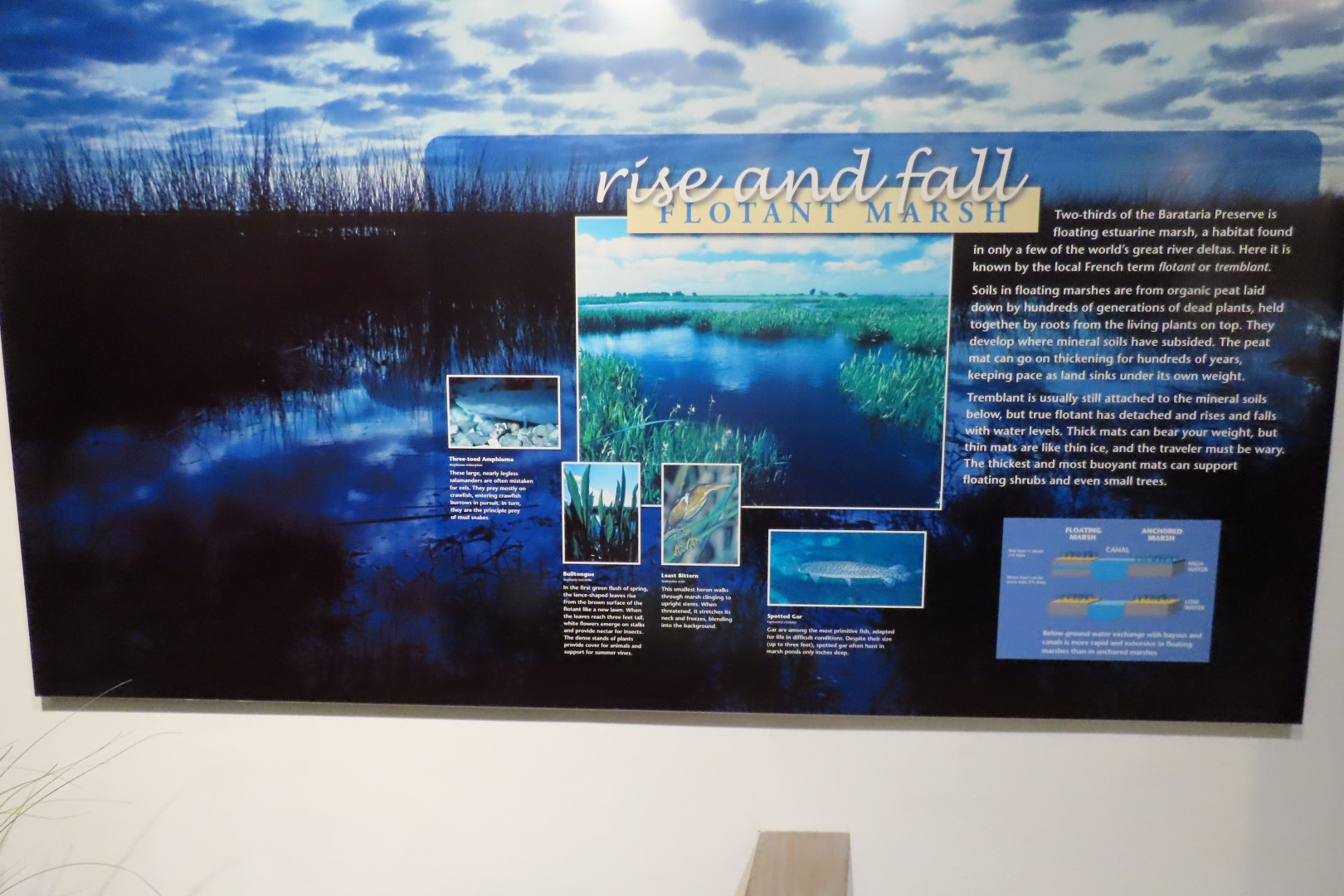 Jean Lafitte Natl Park 27 of 37 (#7505)