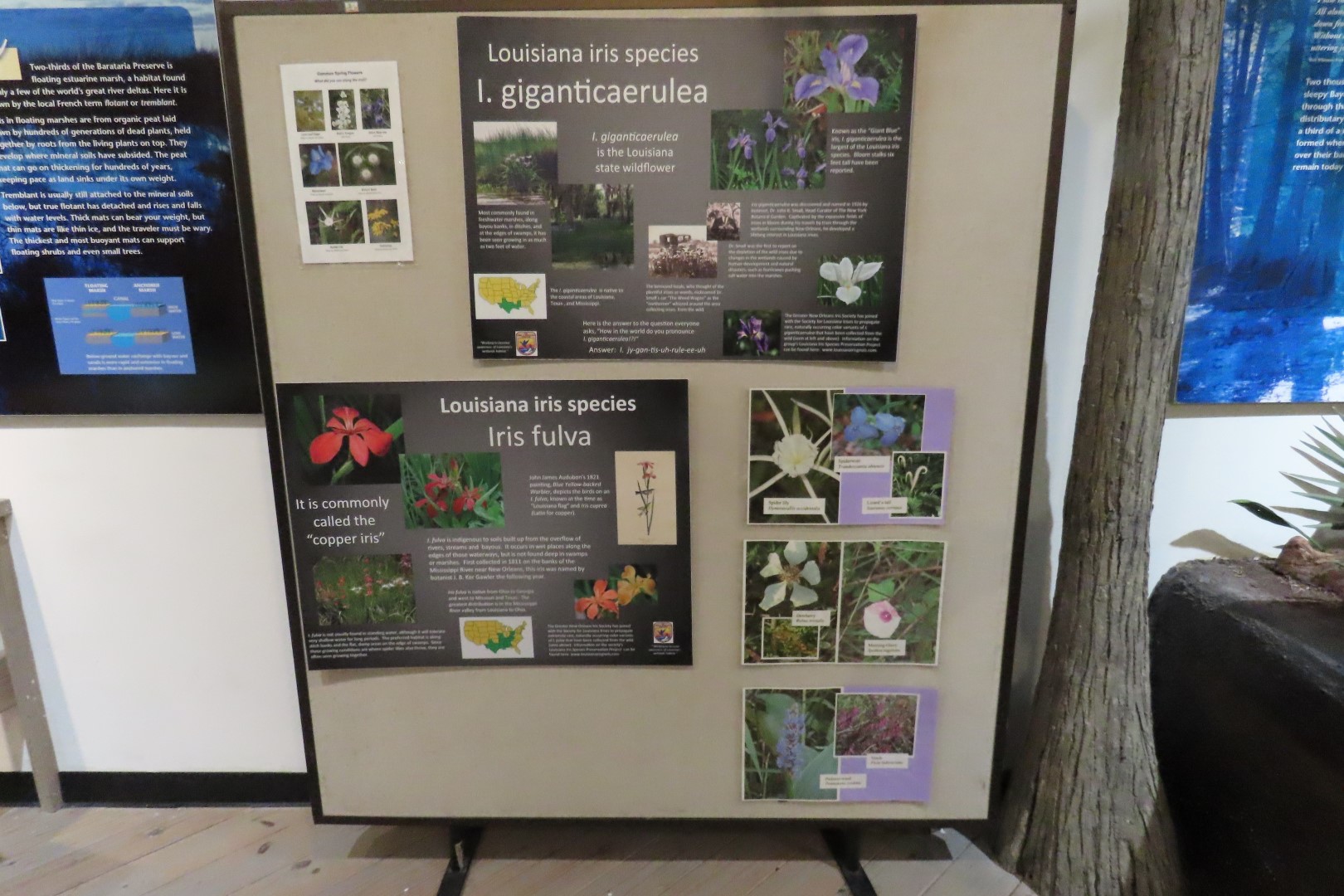 Jean Lafitte Natl Park 28 of 37 (#7506)