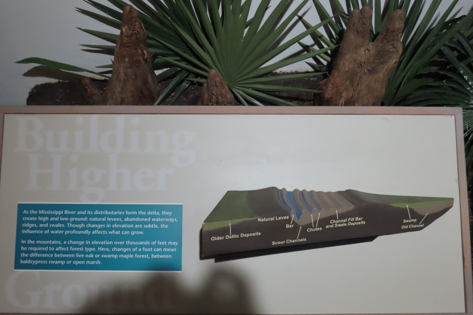 Jean Lafitte Natl Park 30 of 37 (#7508)