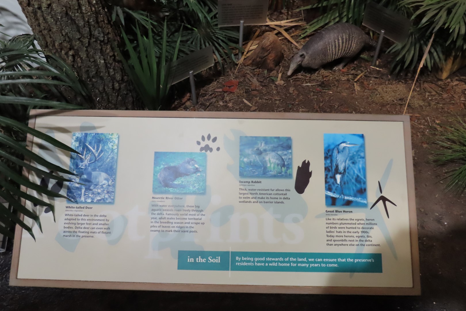 Jean Lafitte Natl Park 31 of 37 (#7509)