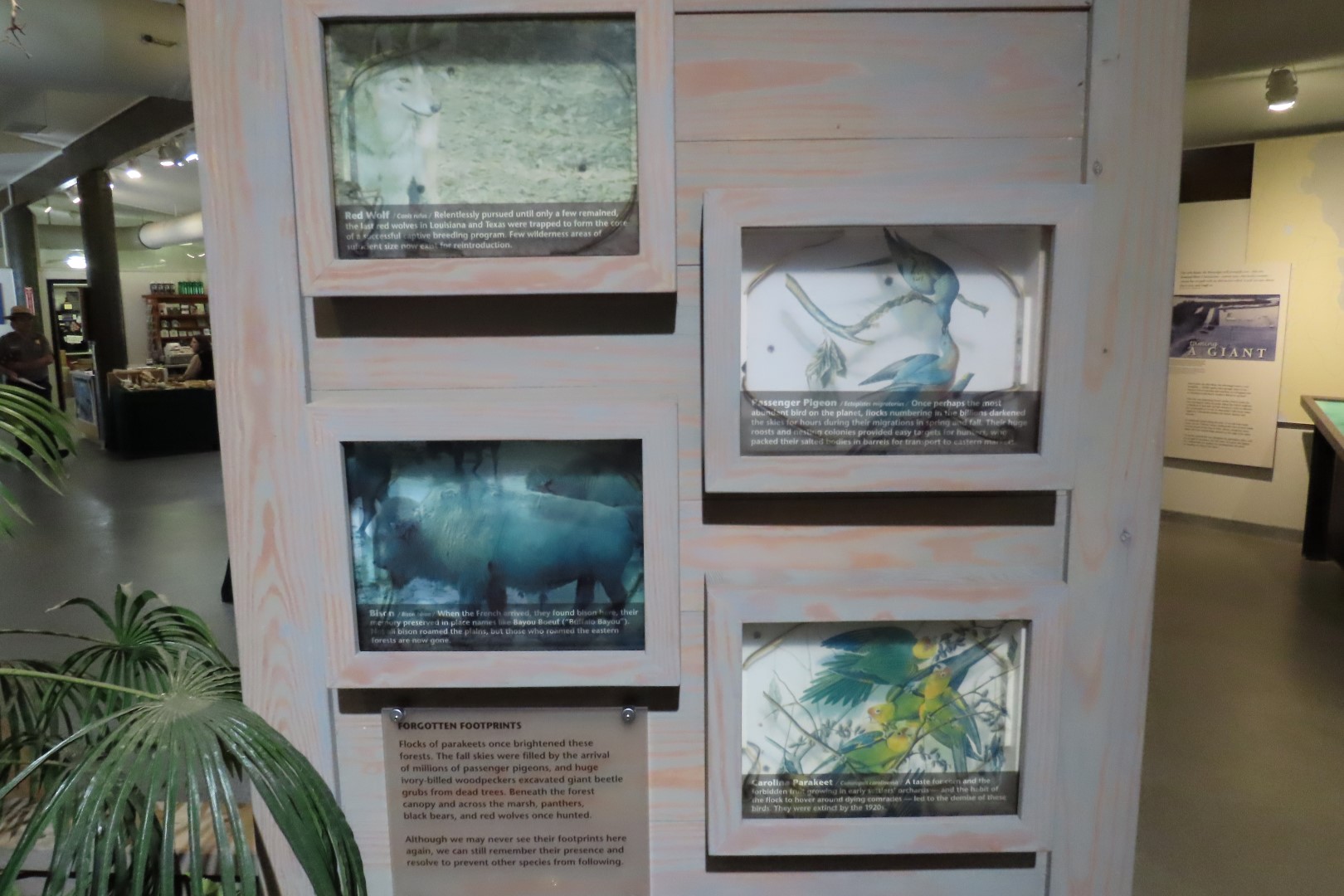 Jean Lafitte Natl Park 32 of 37 (#7510)