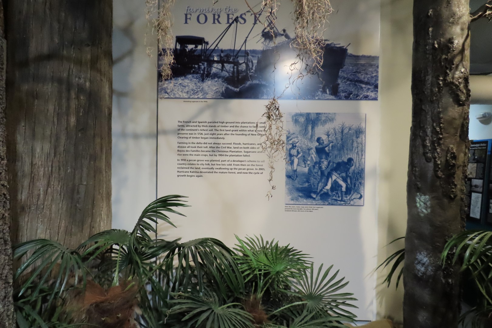 Jean Lafitte Natl Park 33 of 37 (#7511)