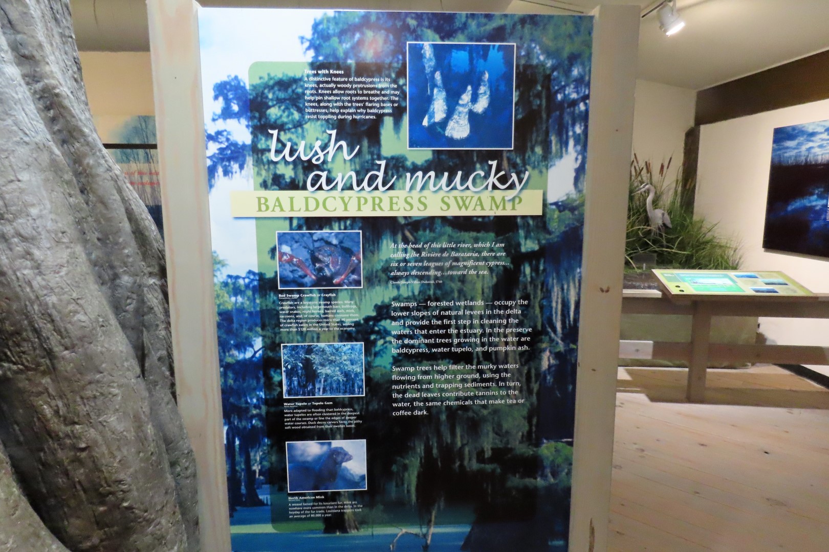 Jean Lafitte Natl Park 34 of 37 (#7512)