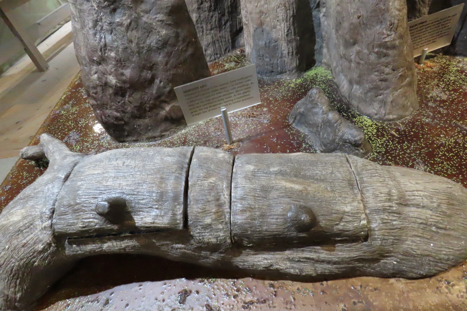 Jean Lafitte Natl Park 35 of 37 (#7513)