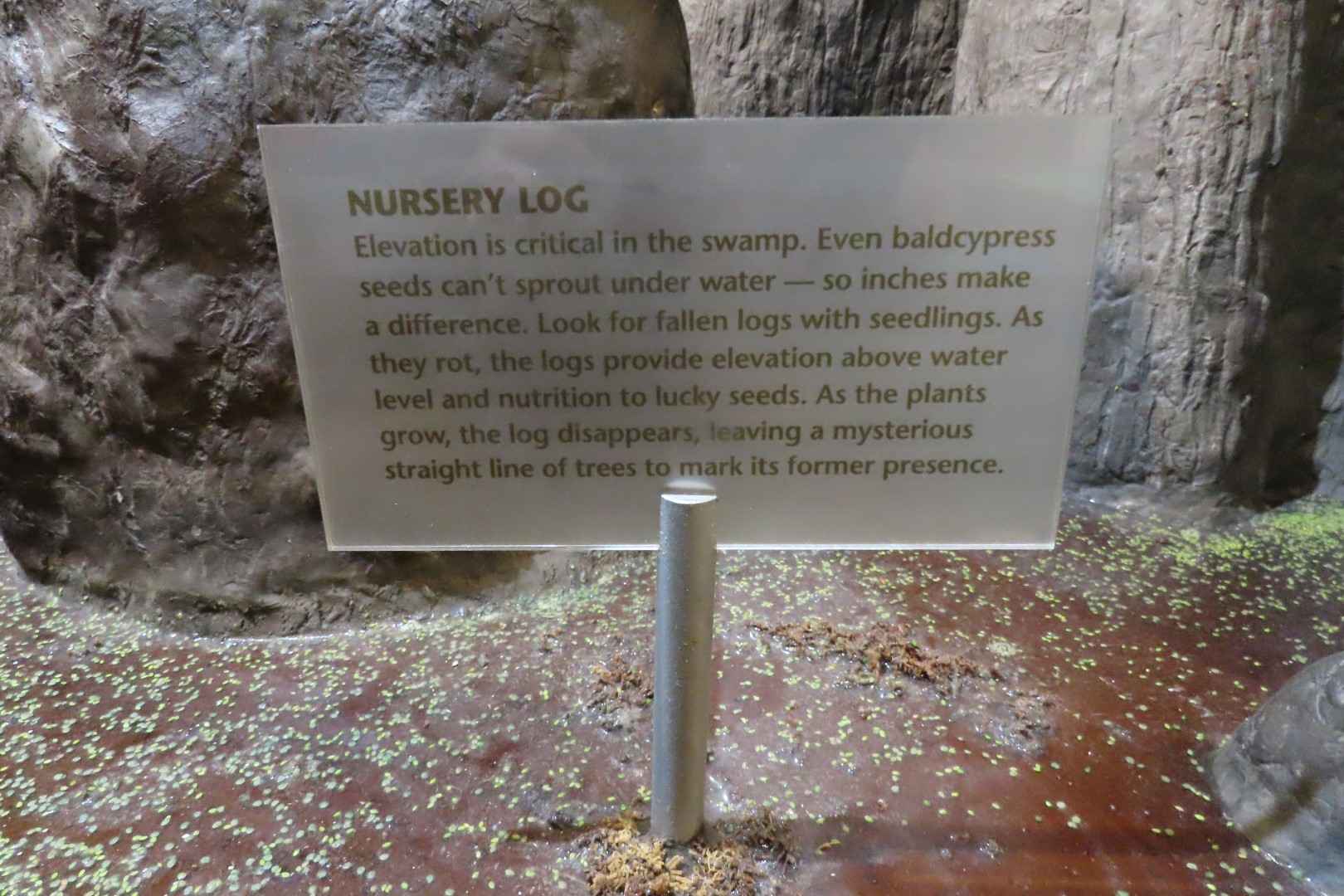 Jean Lafitte Natl Park 36 of 37 (#7514)