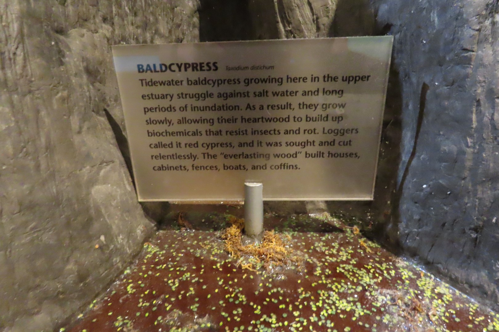 Jean Lafitte Natl Park 37 of 37 (#7515)