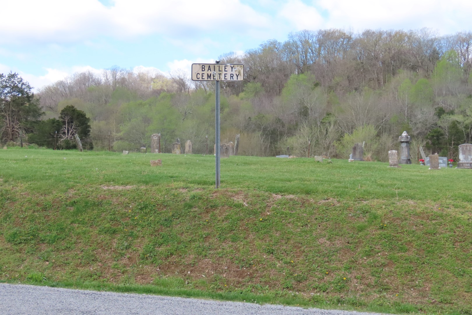 Bailey Cemetery near Mount Joy, Tennessee  1 of  5 (#7517)