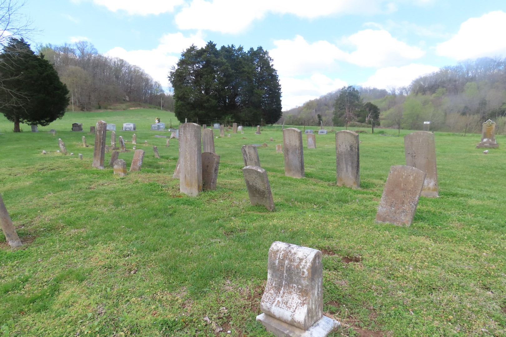 Bailey Cemetery near Mount Joy, Tennessee  5 of  5 (#7521)