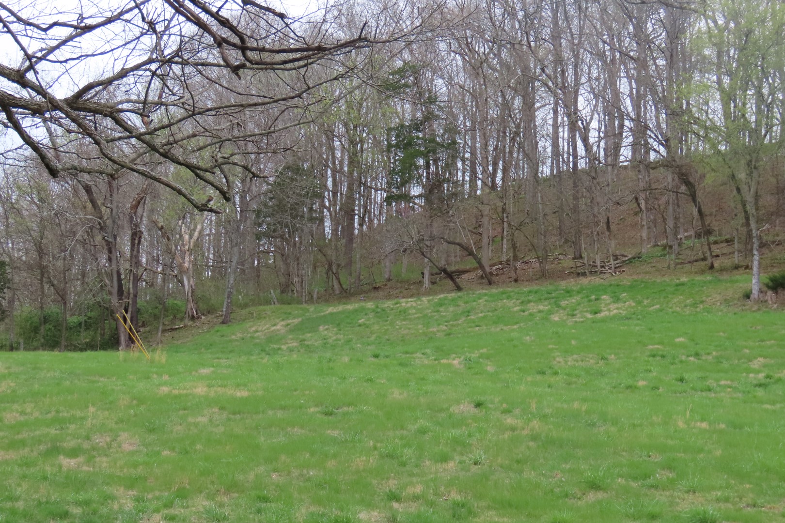 Woody Cemetery near Santa Fe, Tennessee -- cemetery on private property, no one home  4 of  8 (#7525)