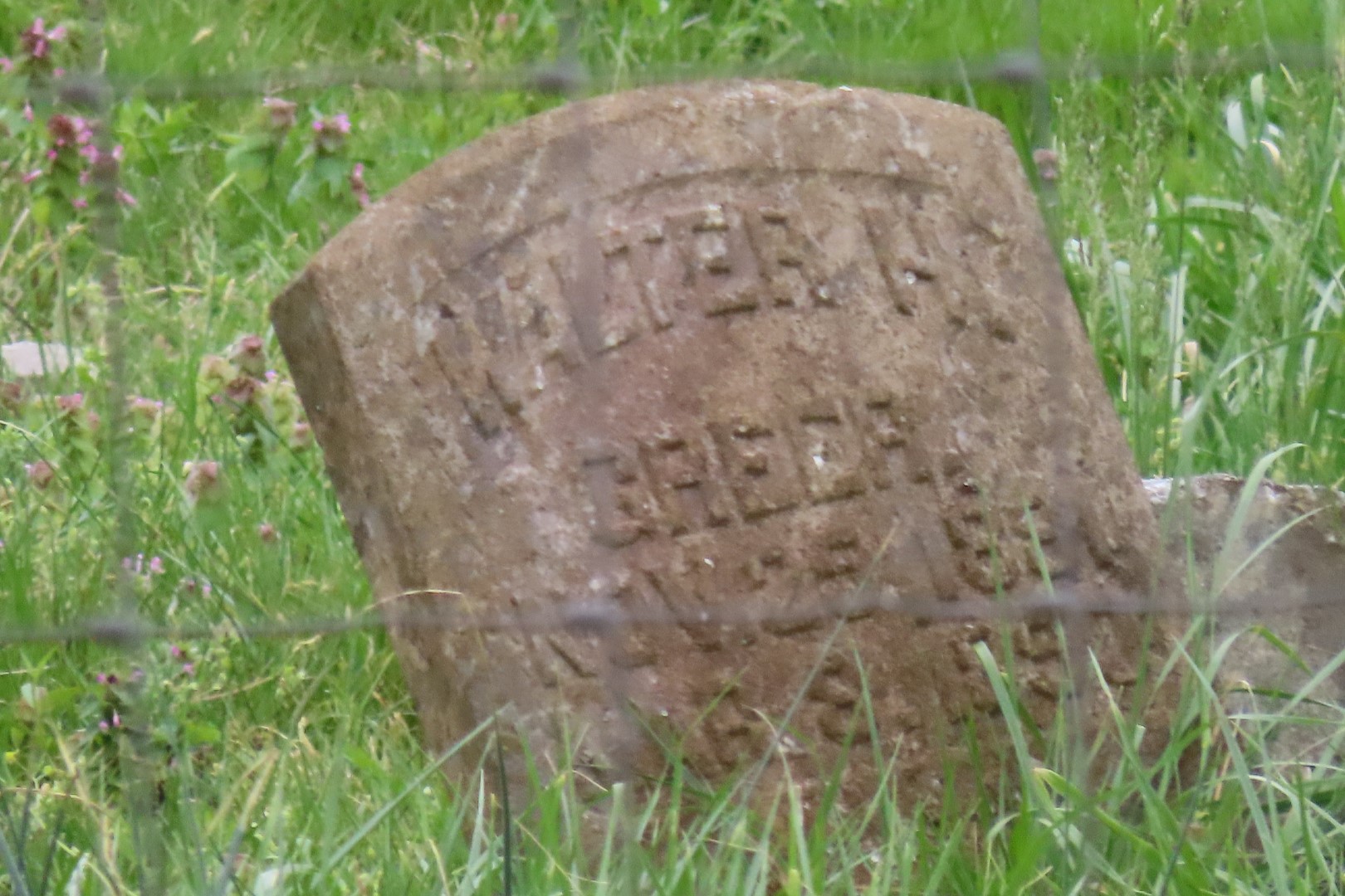 Woody Cemetery near Santa Fe, Tennessee -- cemetery as seen (zoomed mode) from the road  8 of  8 (#7529)