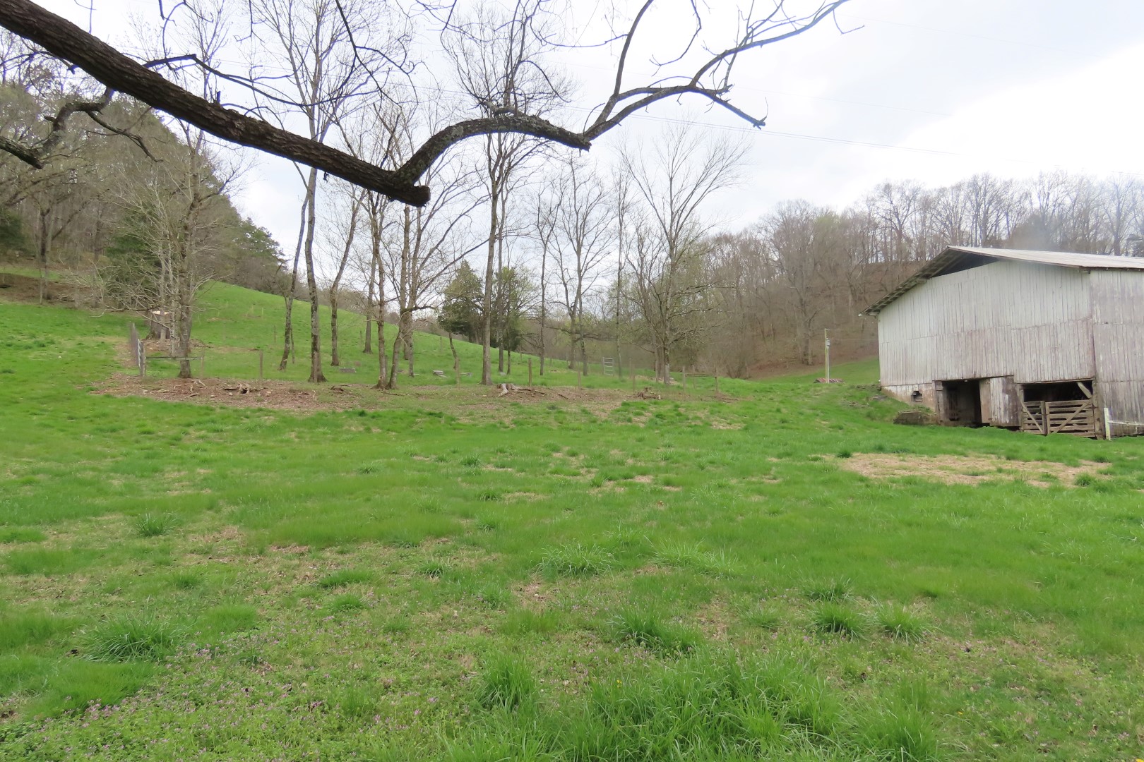 Woody Cemetery near Santa Fe, Tennessee -- cemetery on private property, no one home  5 of  8 (#7530)