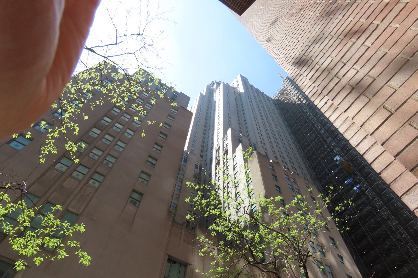 Waldorf Astoria  1 of  2 (#7771) onmouseover=