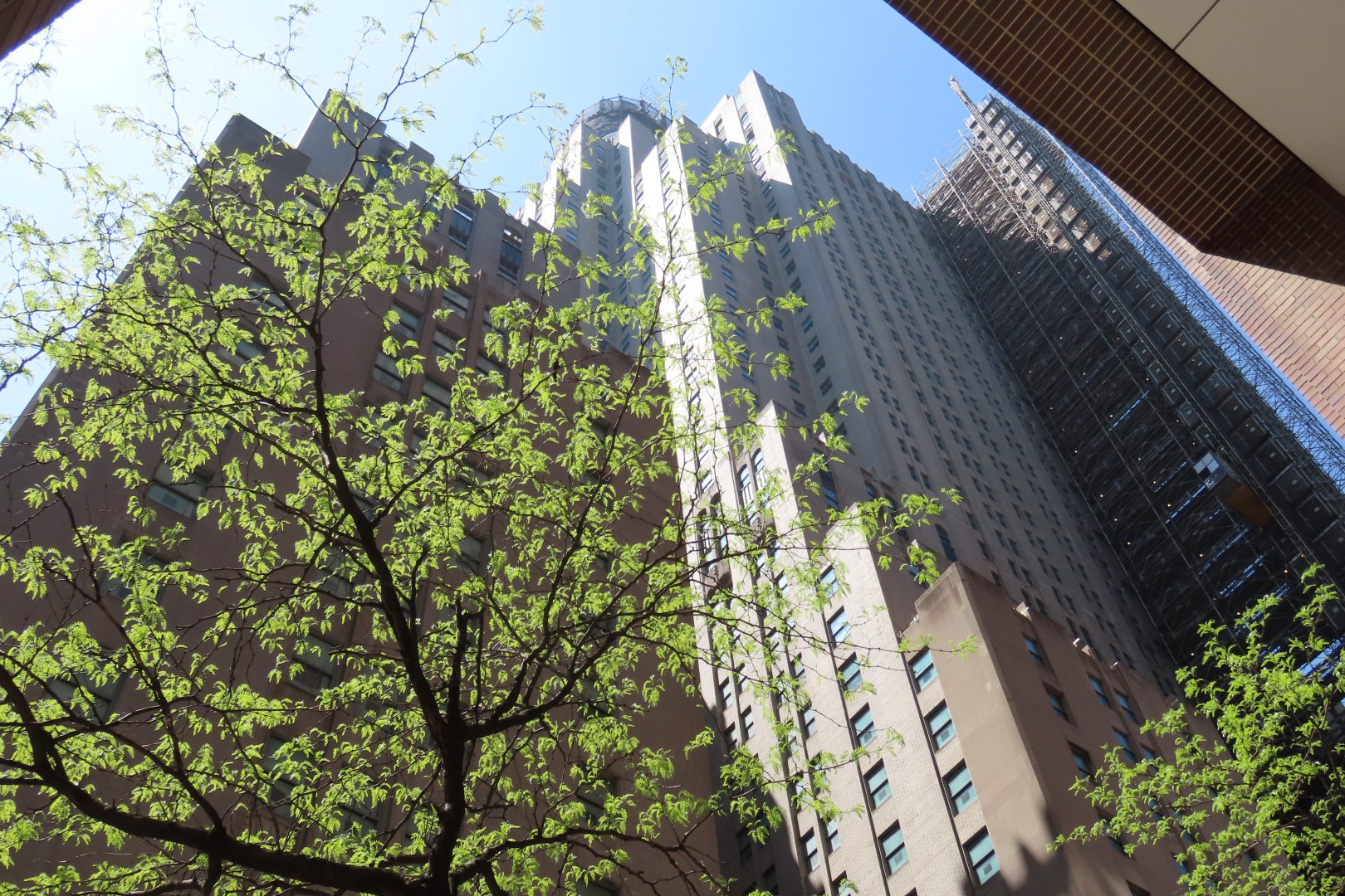 Waldorf Astoria  2 of  2 (#7772) onmouseover=