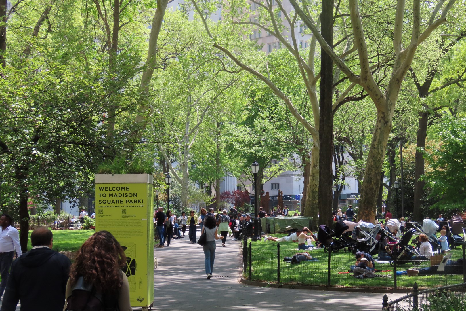Madison Square Park  1 of  2 (#7800) onmouseover=
