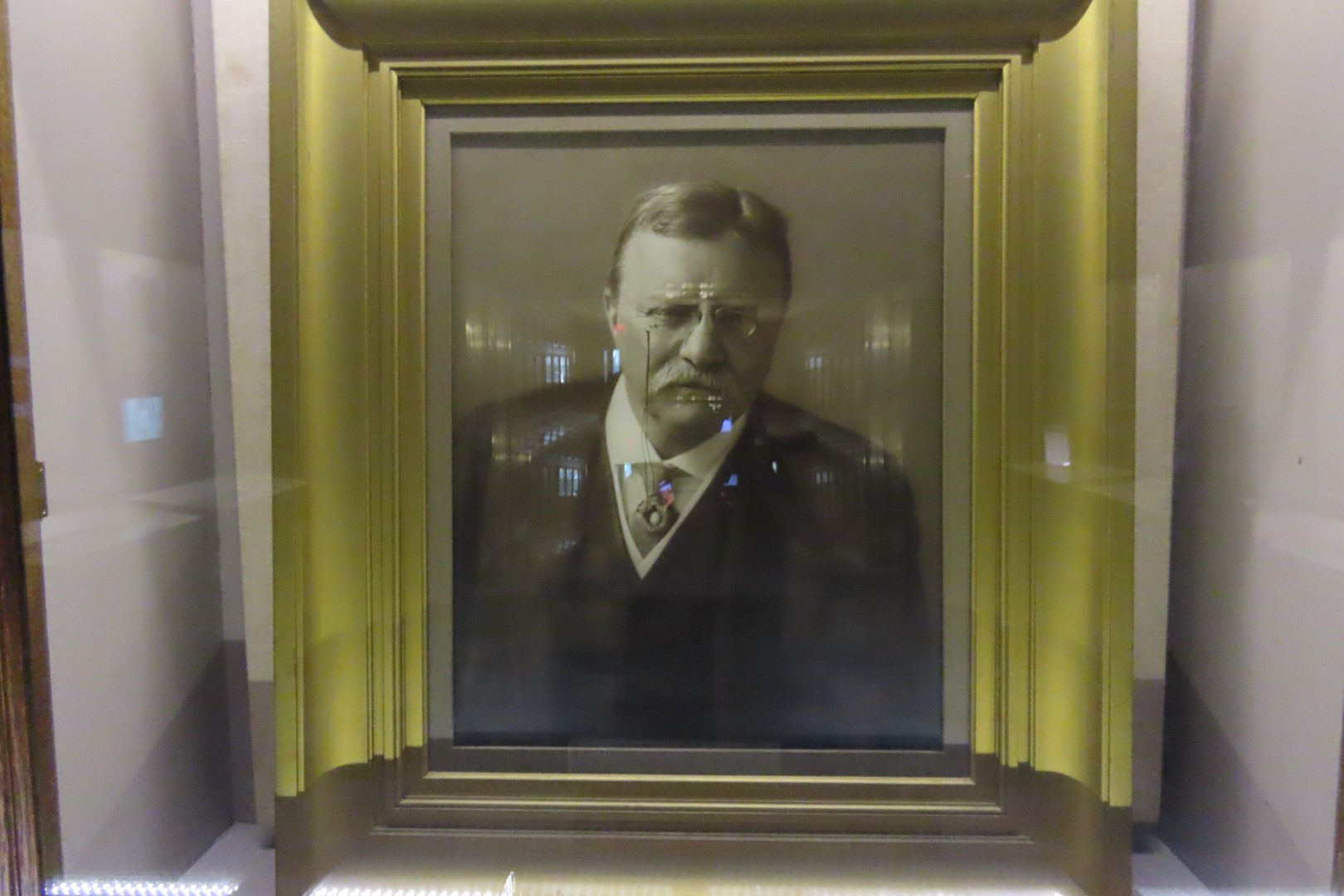 Theodore Roosevelt Birthplace National Park 11 of 12 (#7812) onmouseover=