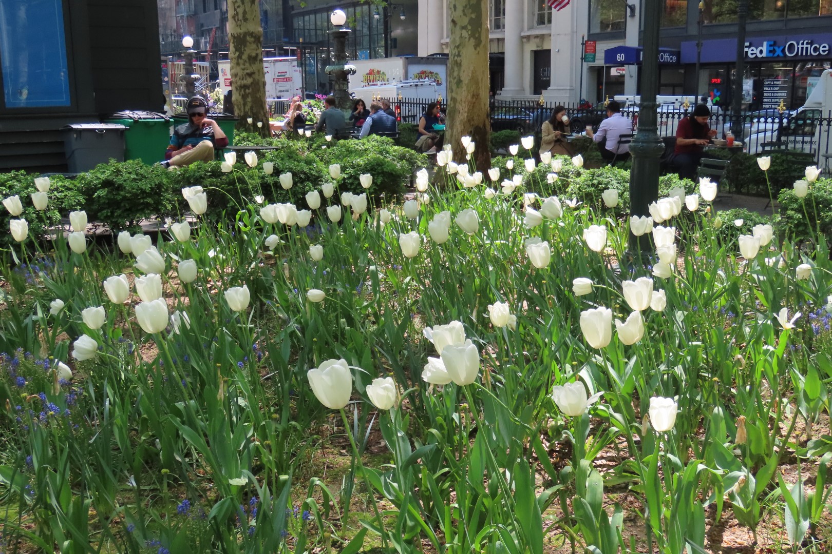 Bryant Park  5 of  5 (#7856) onmouseover=