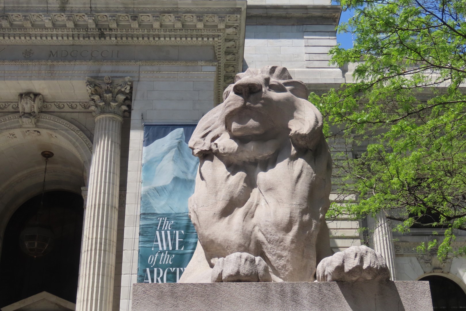 New York Public Library - main branch and their famous guard lions  5 of  5 (#7861) onmouseover=