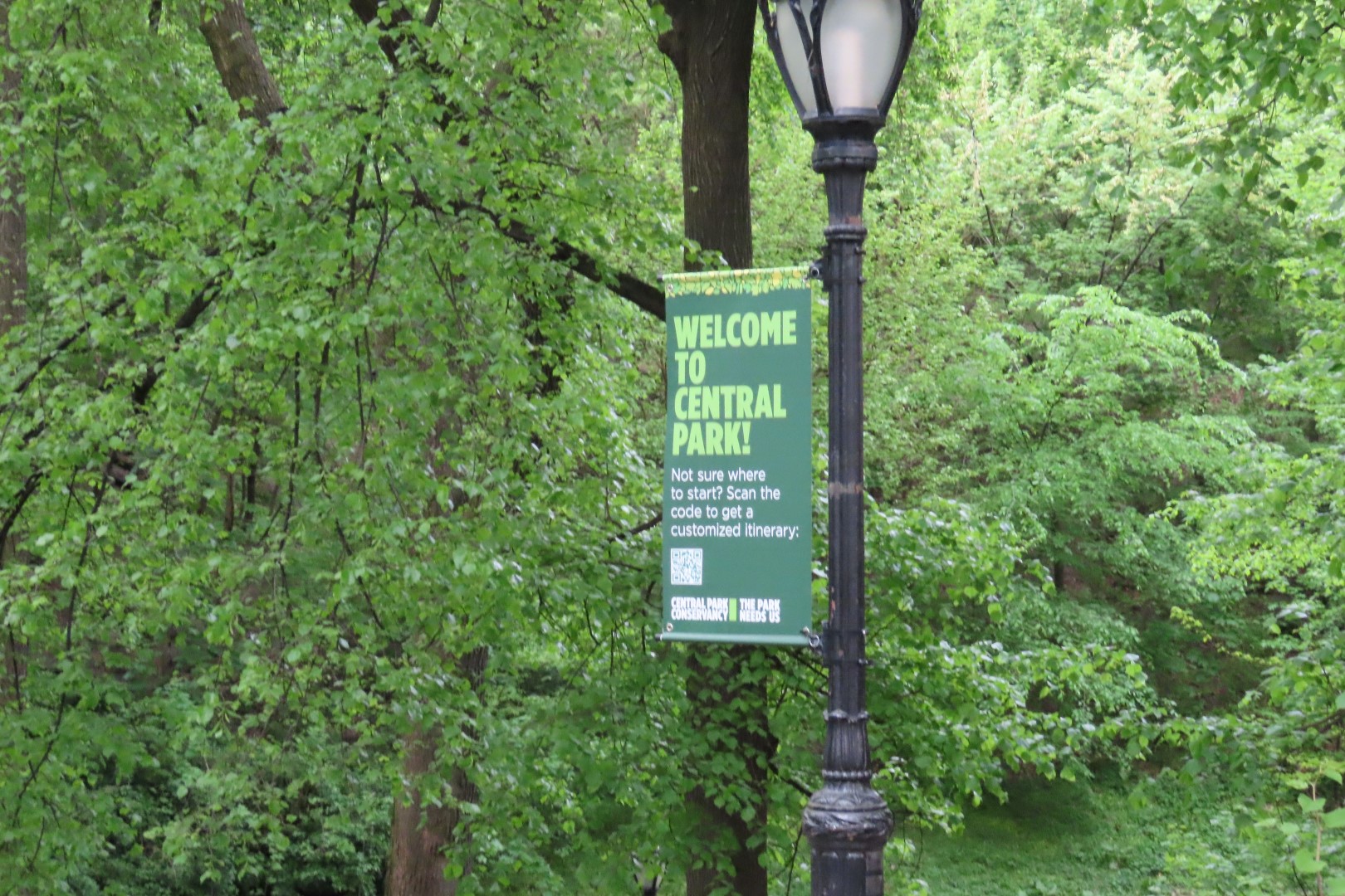 Central Park  1 of 12 (#7879) onmouseover=