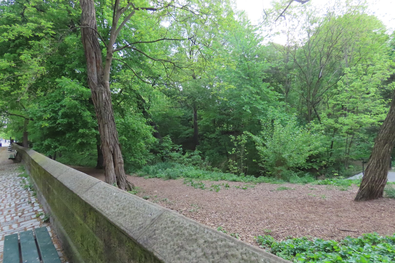 Central Park  3 of 12 (#7881) onmouseover=