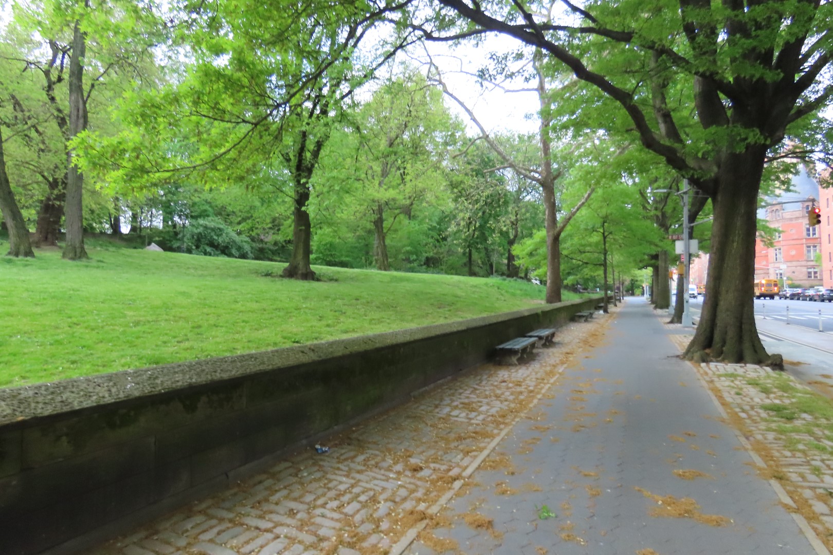 Central Park  5 of 12 (#7883) onmouseover=