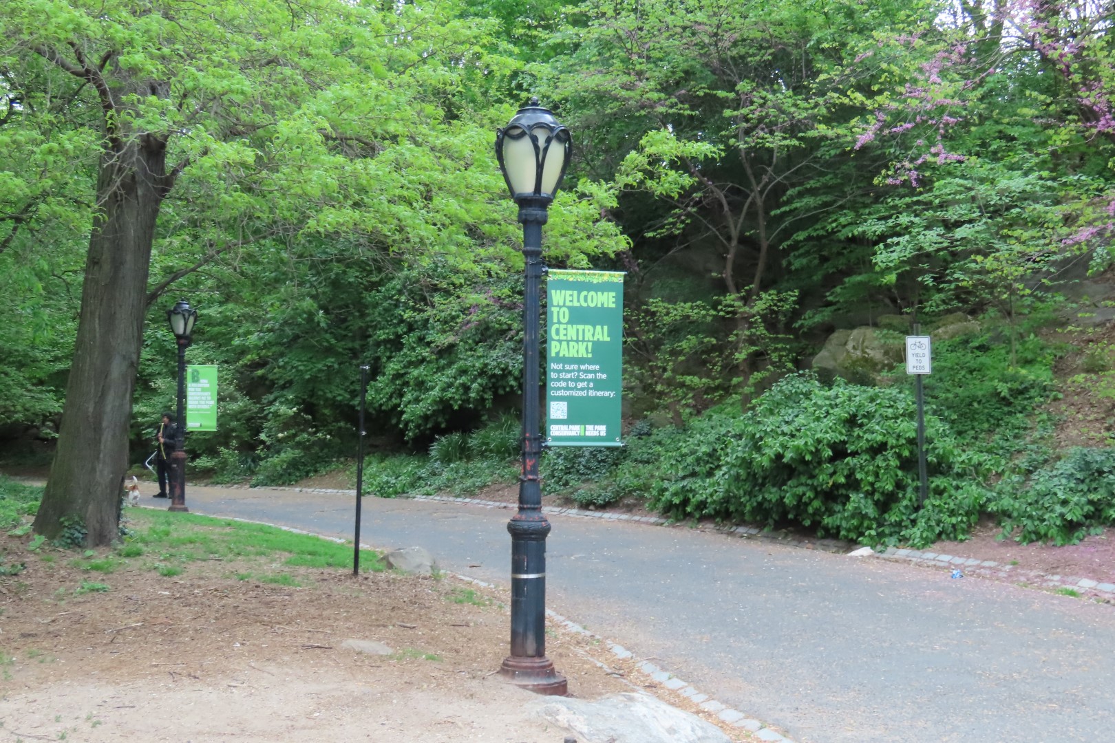 Central Park  7 of 12 (#7885) onmouseover=