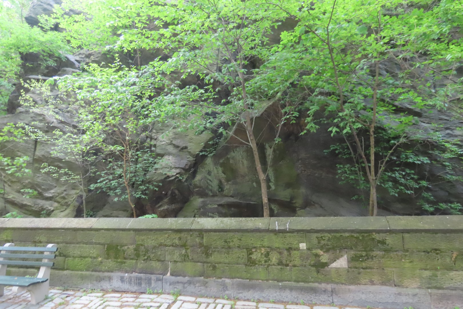 Central Park  8 of 12 (#7886) onmouseover=