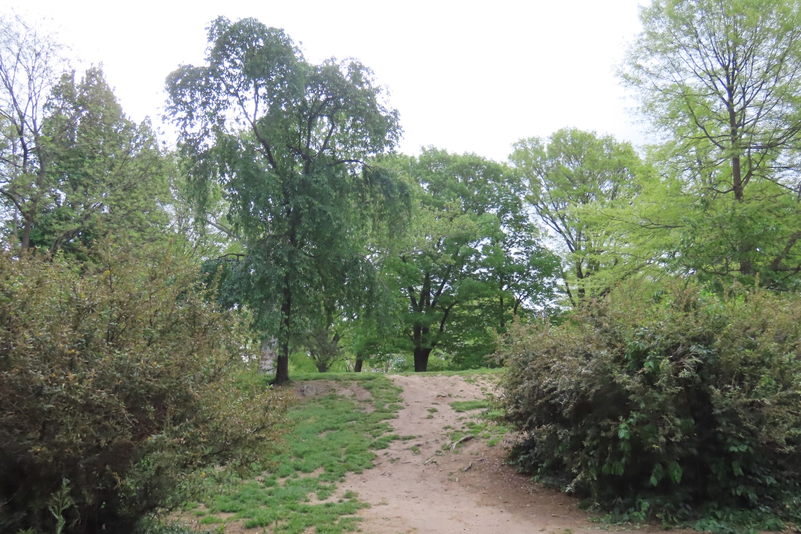 Central Park 12 of 12 (#7890) onmouseover=