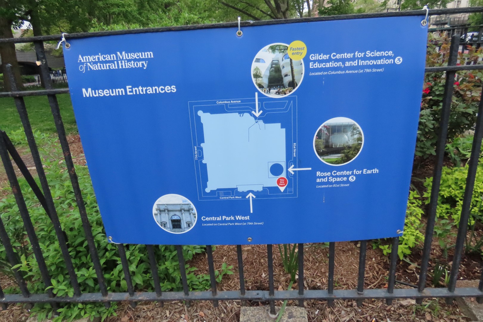 American Museum of Natural History  1 of  4 (#7891) onmouseover=