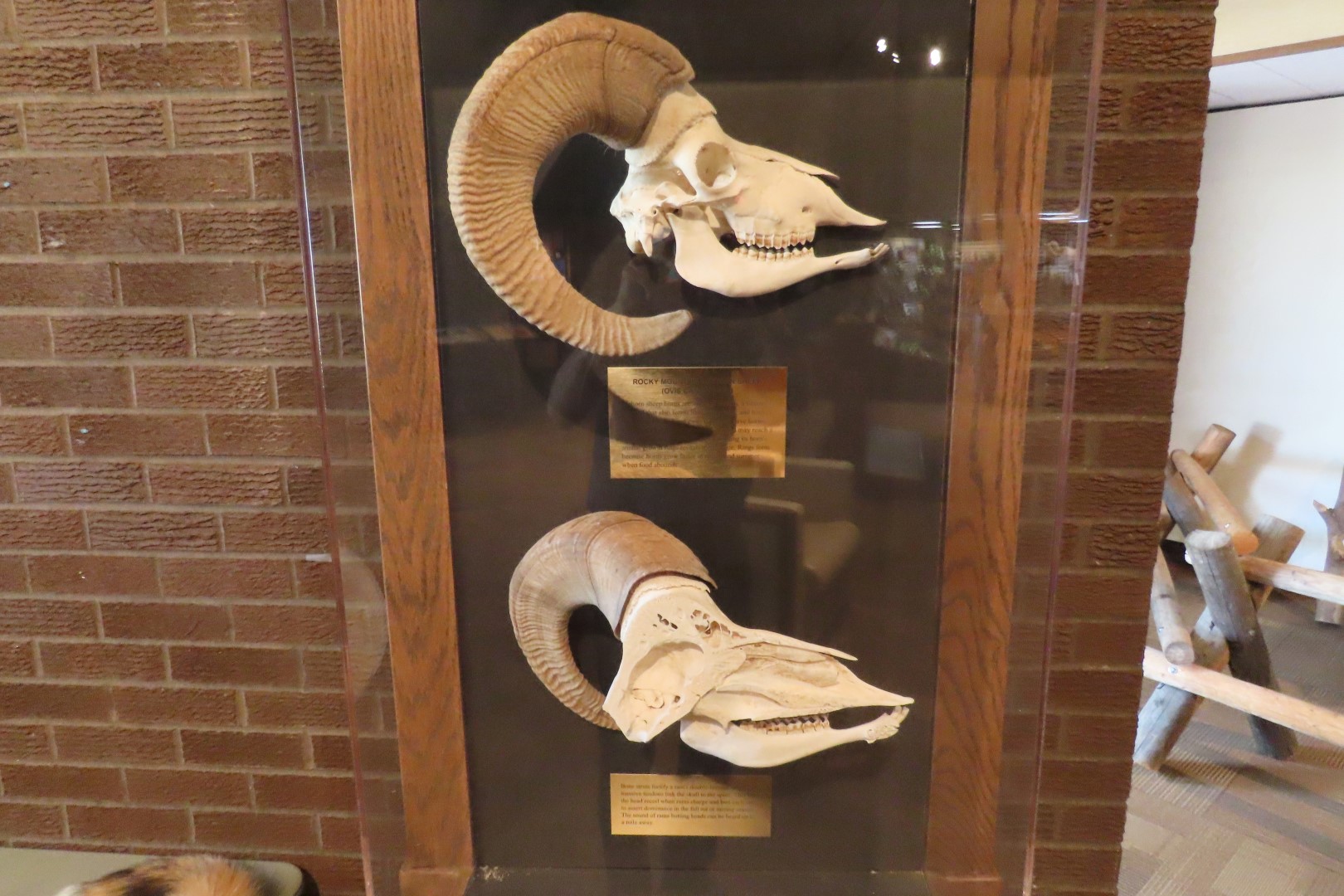 Bighorn Canyon Nat'l Park WY 11 of 17 (#7961)