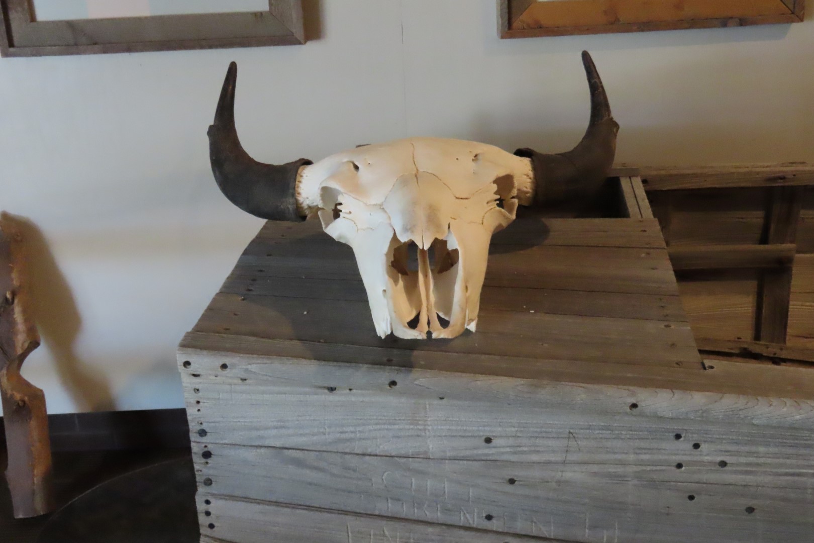 Bighorn Canyon Nat'l Park WY 12 of 17 (#7962)