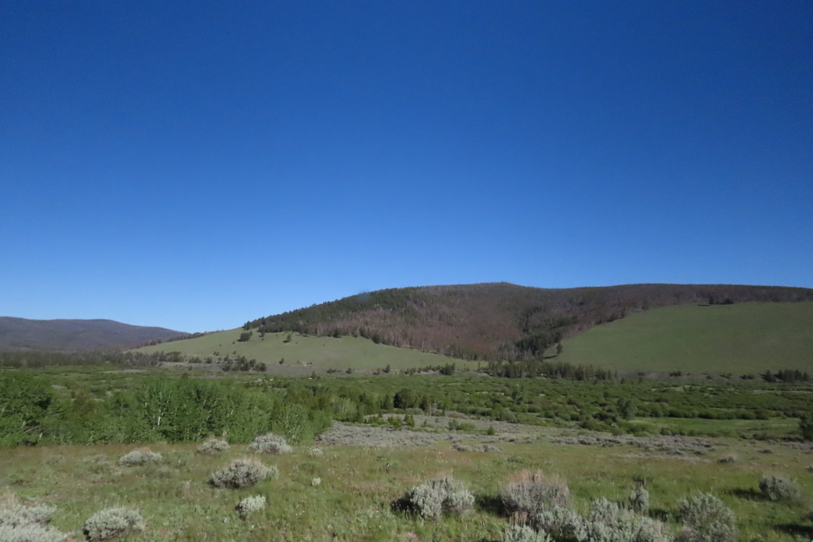 Big Hole Nat'l Park 10 of 34 (#7986)