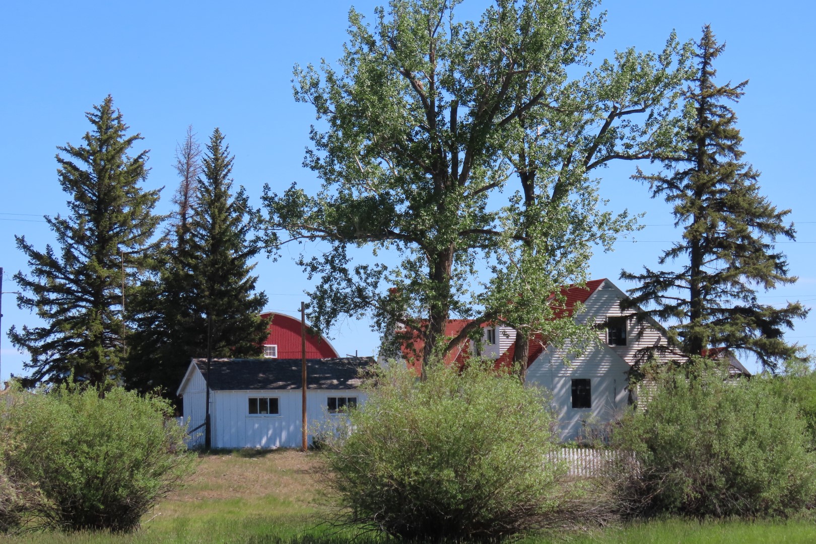 Grant-Kohrs National Park 15 of 20 (#8026)