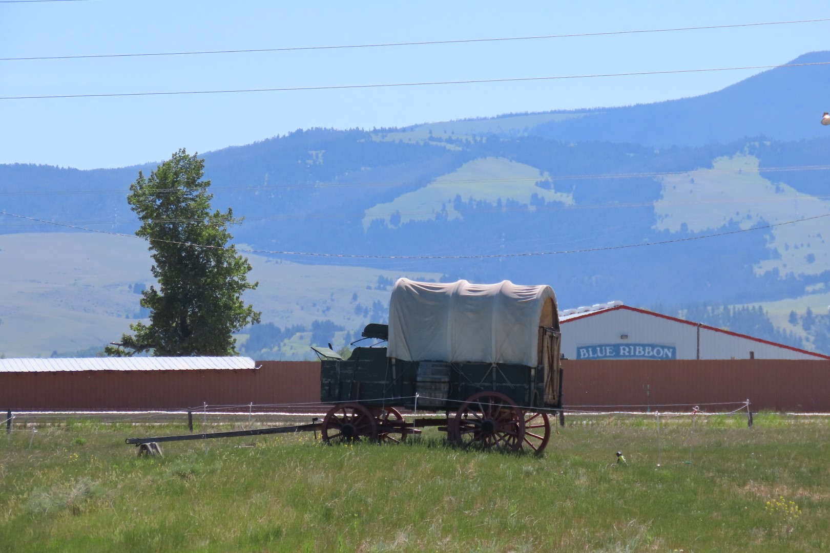 Grant-Kohrs National Park 16 of 20 (#8027)