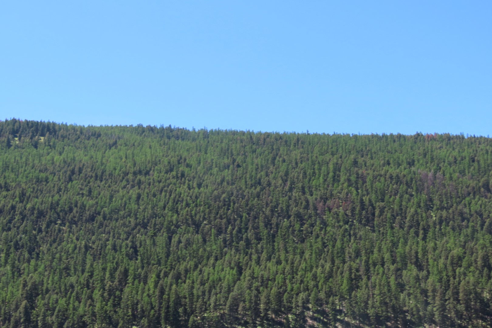 On the way to Glacier National Park  2 of  4 (#8033)