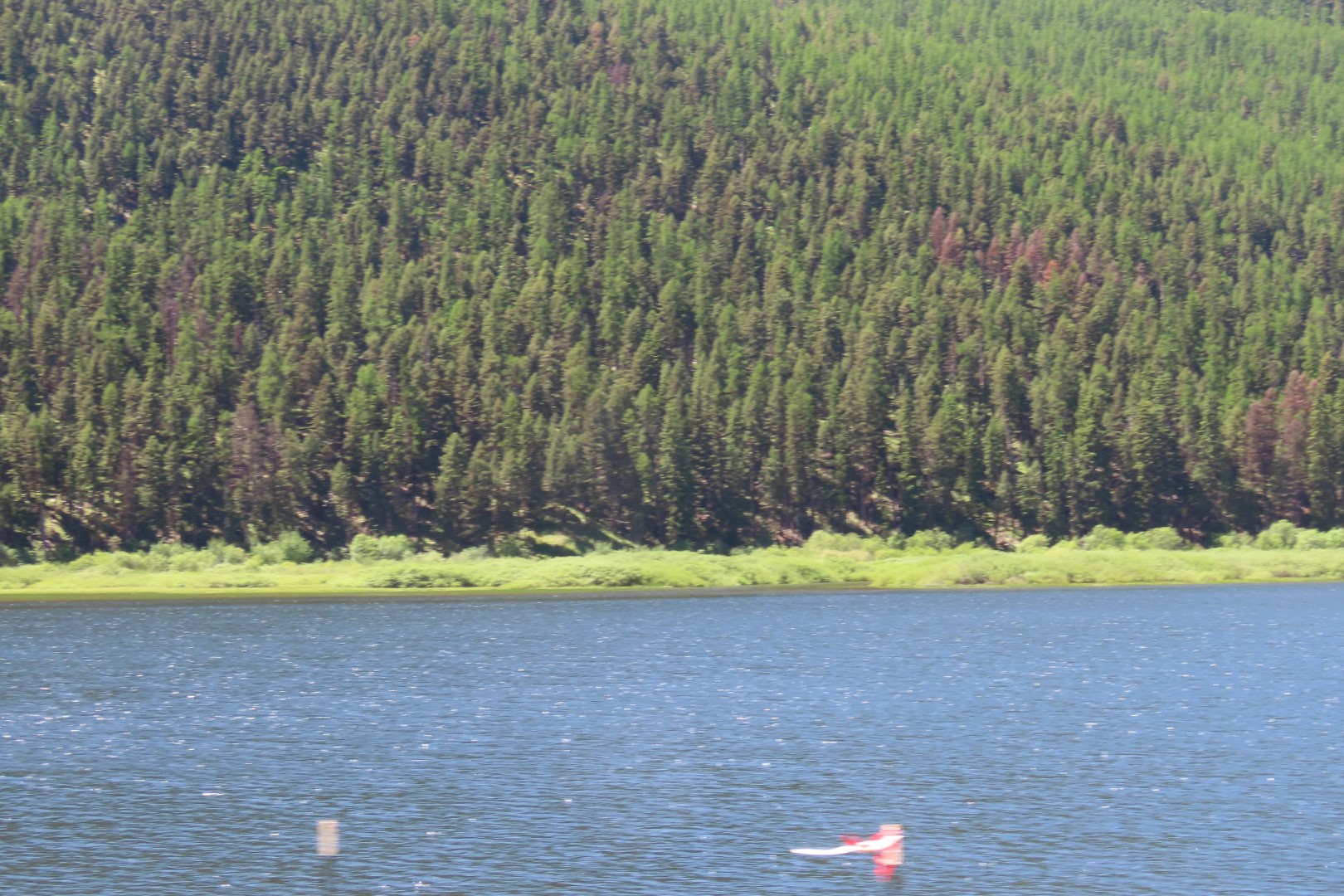 On the way to Glacier National Park  3 of  4 (#8034)