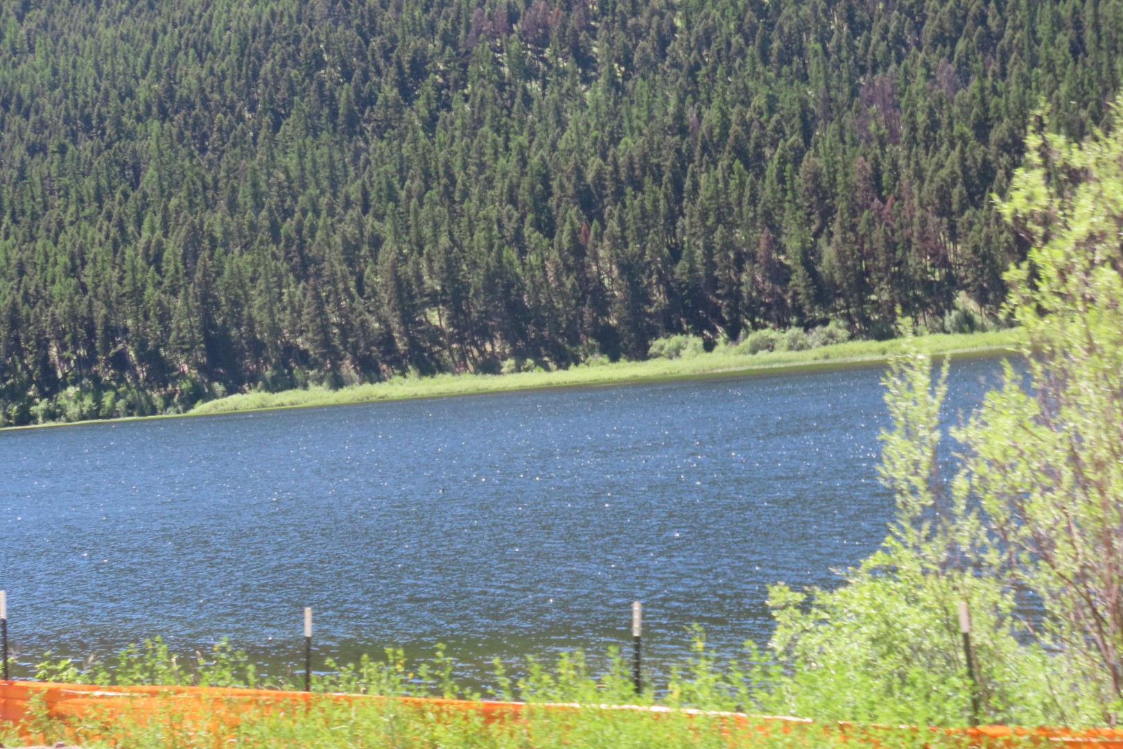 On the way to Glacier National Park  4 of  4 (#8035)