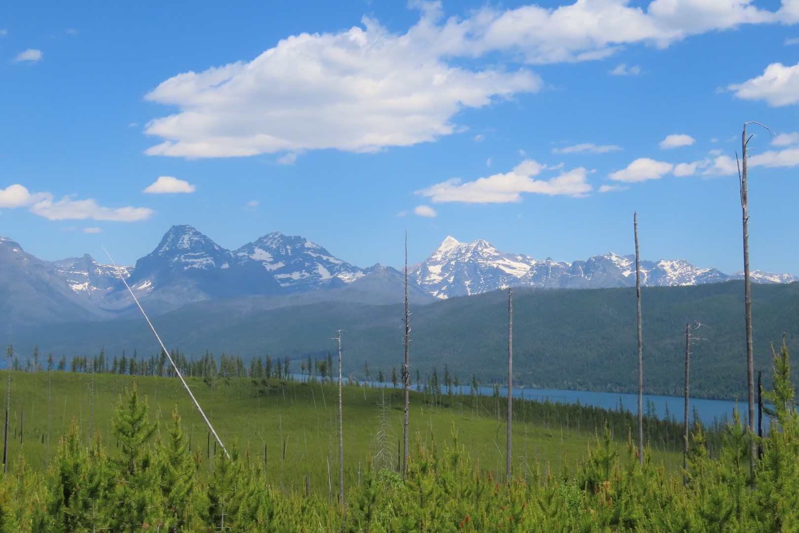 Glacier National Park  5 of 16 (#8039)