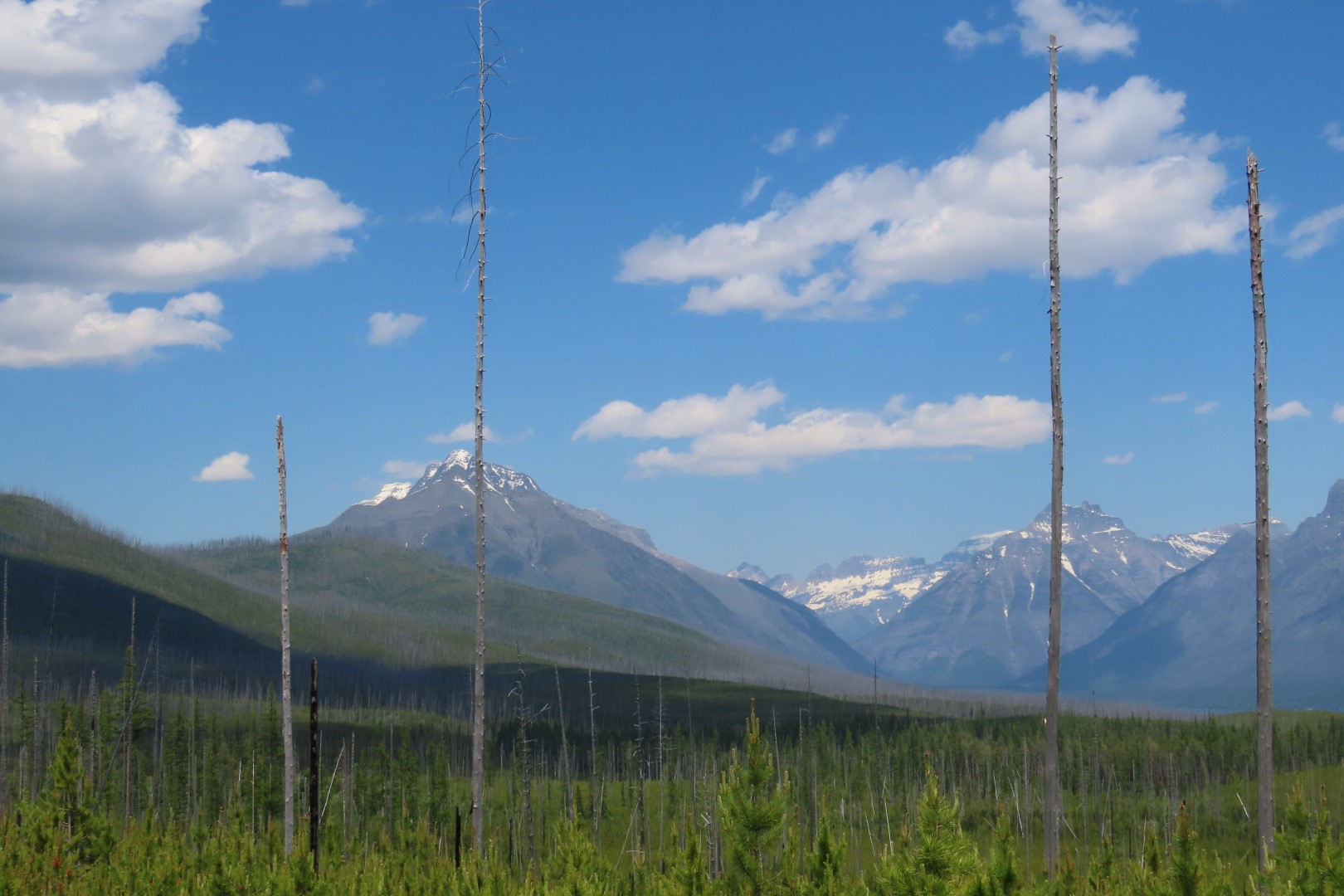 Glacier National Park  7 of 16 (#8041)