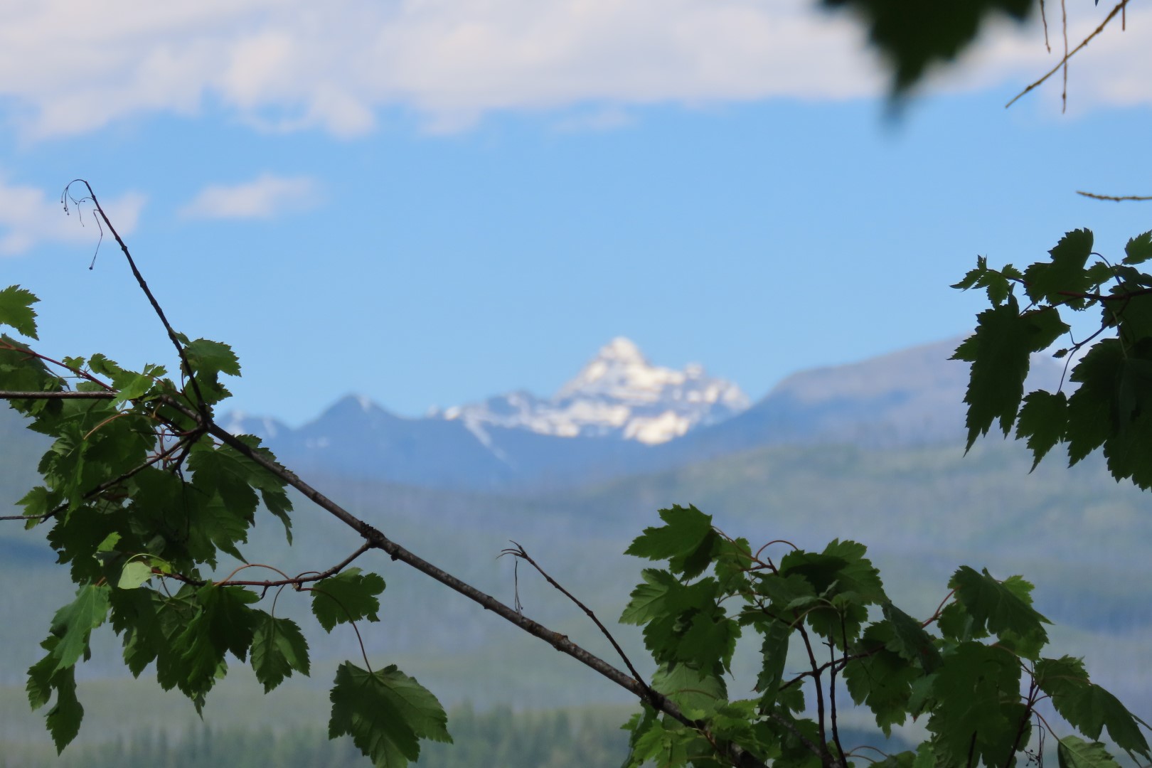 Glacier National Park  2 of 16 (#8045)
