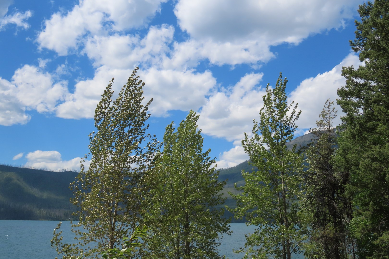 Glacier National Park  5 of 16 (#8048)