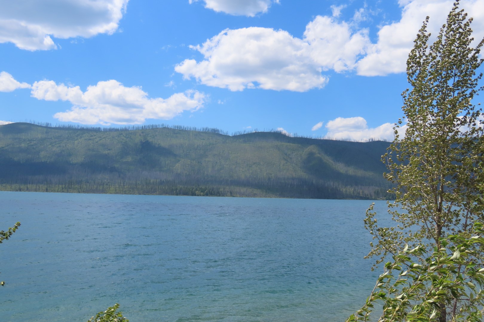 Glacier National Park  6 of 16 (#8049)