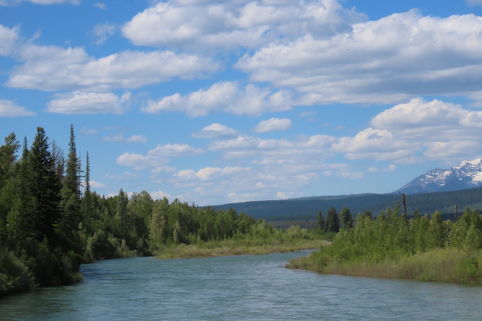 Glacier National Park  7 of 16 (#8051)