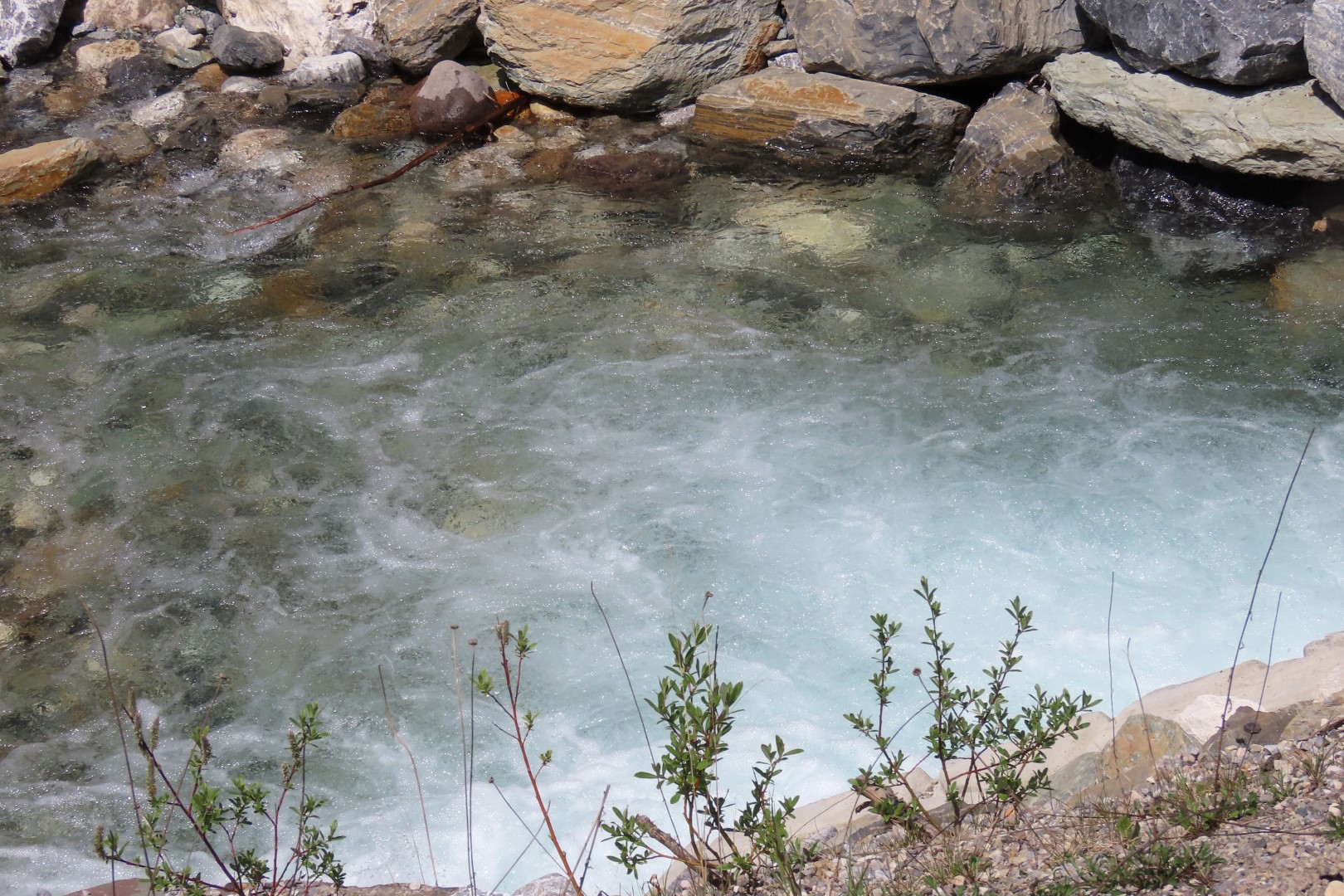 Marble Canyon south of Lake Louise AB  3 of  5 (#8072)