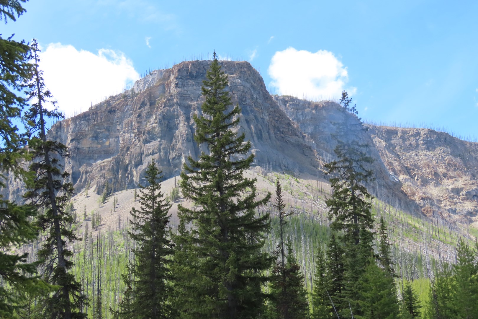 Marble Canyon south of Lake Louise AB  4 of  5 (#8075)