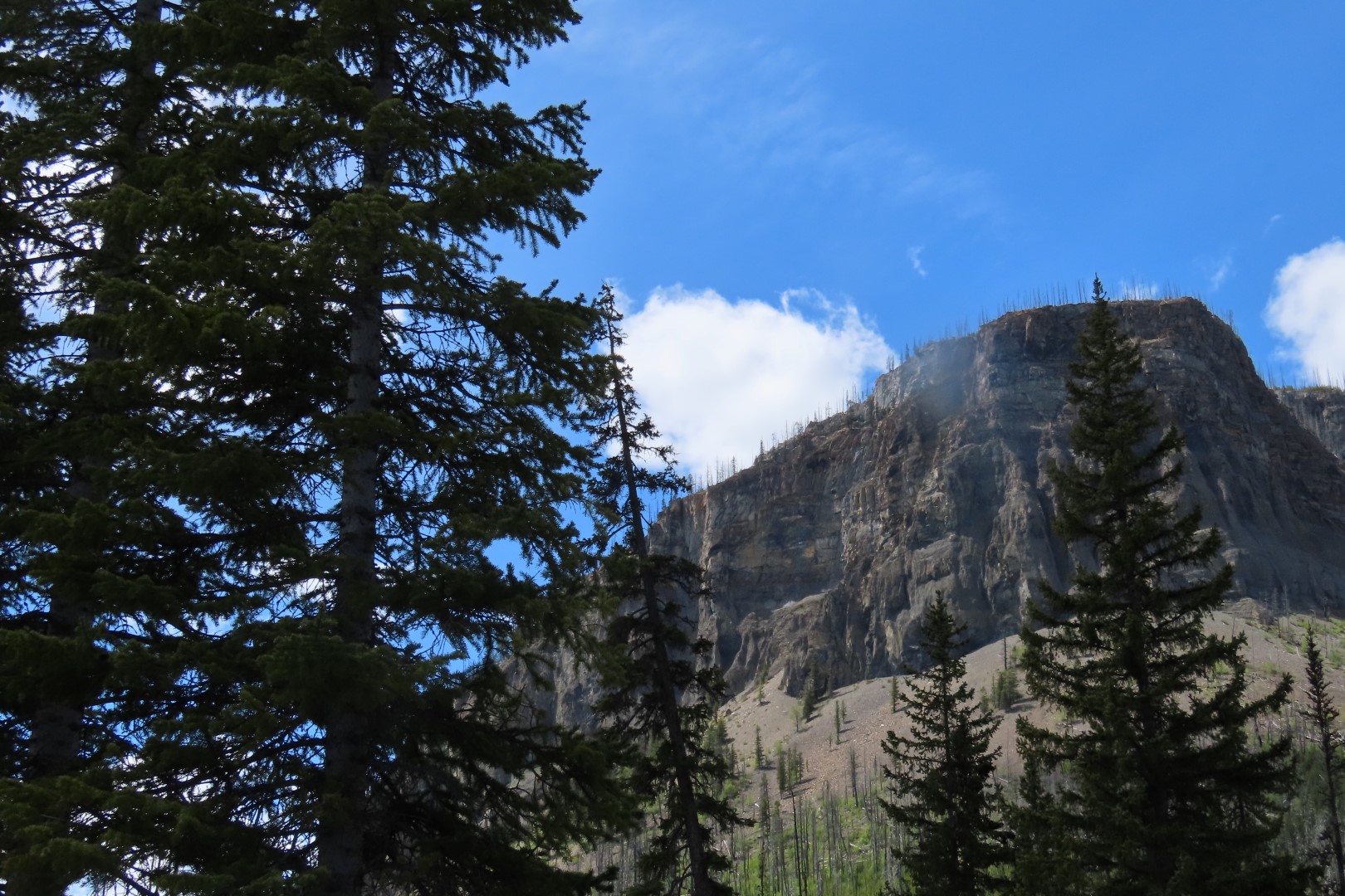 Marble Canyon south of Lake Louise AB  5 of  5 (#8076)