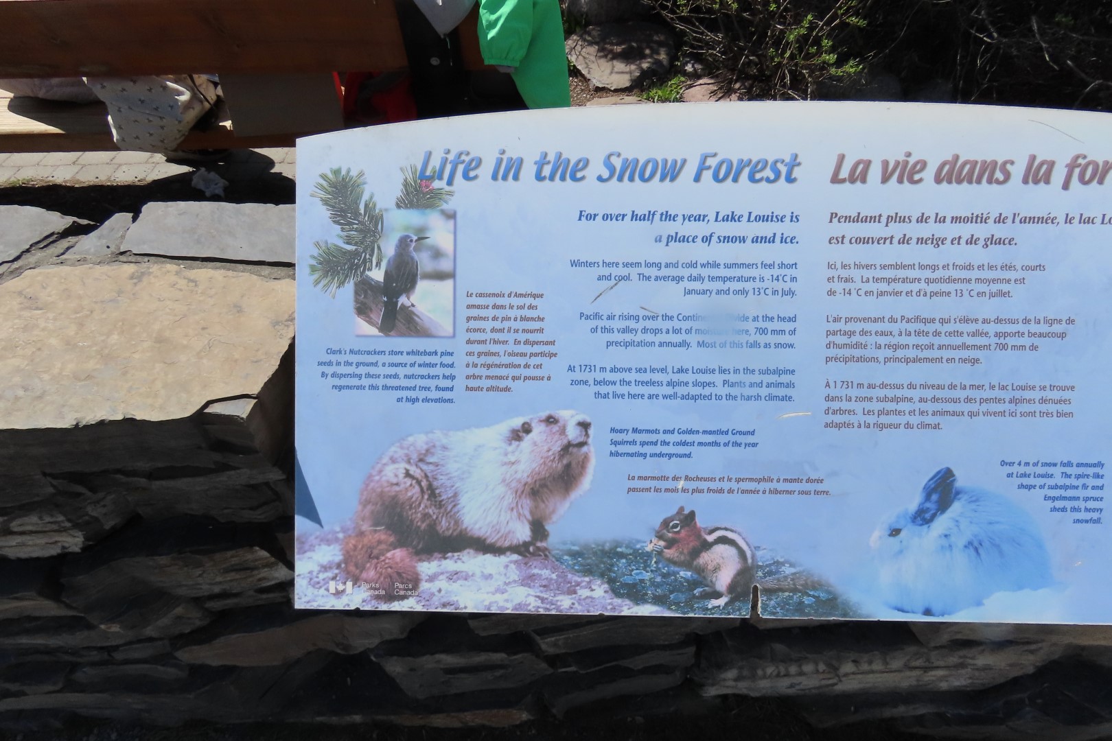 Lake Louise AB  3 of 30 (#8080)